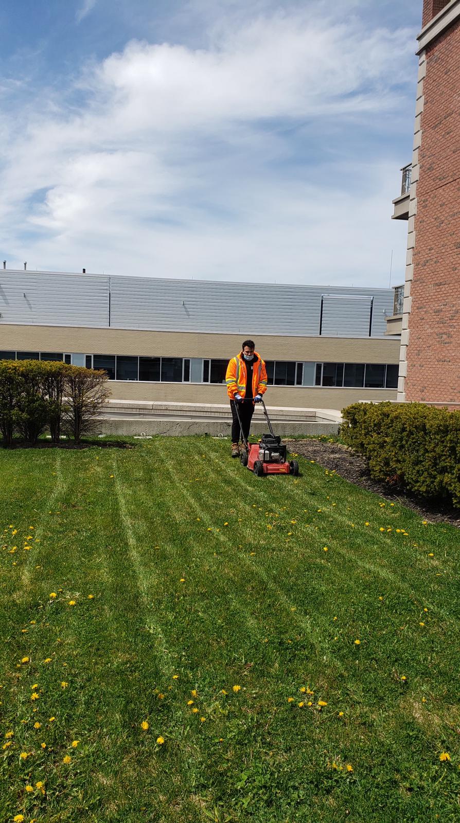 Tico lawn care | 105 West Lodge Ave, Toronto, ON M6K 2T5, Canada | Phone: (647) 282-3703