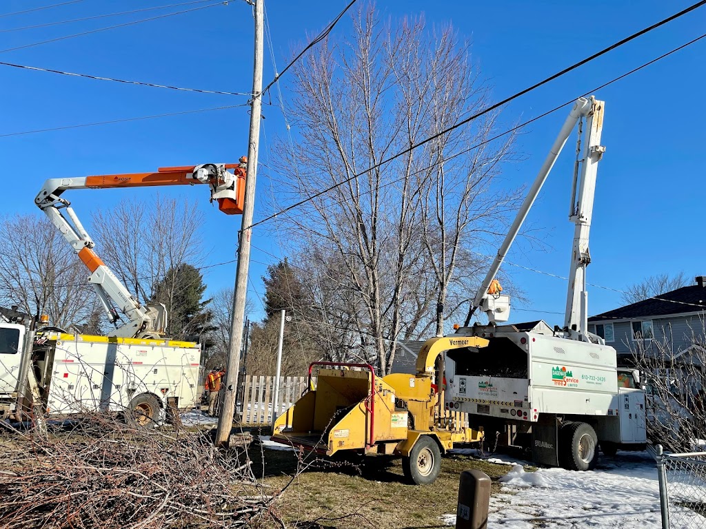 Dagenais Tree Service Ltd | 215 Paul Martin Dr, Pembroke, ON K8A 6W4, Canada | Phone: (613) 732-2426