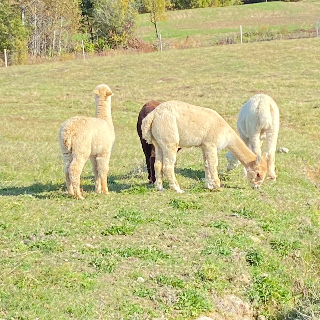 Ferme MarieBob | 104 Rue de la Frontière E, Rivière-Bleue, QC G0L 2B0, Canada | Phone: (418) 551-5766