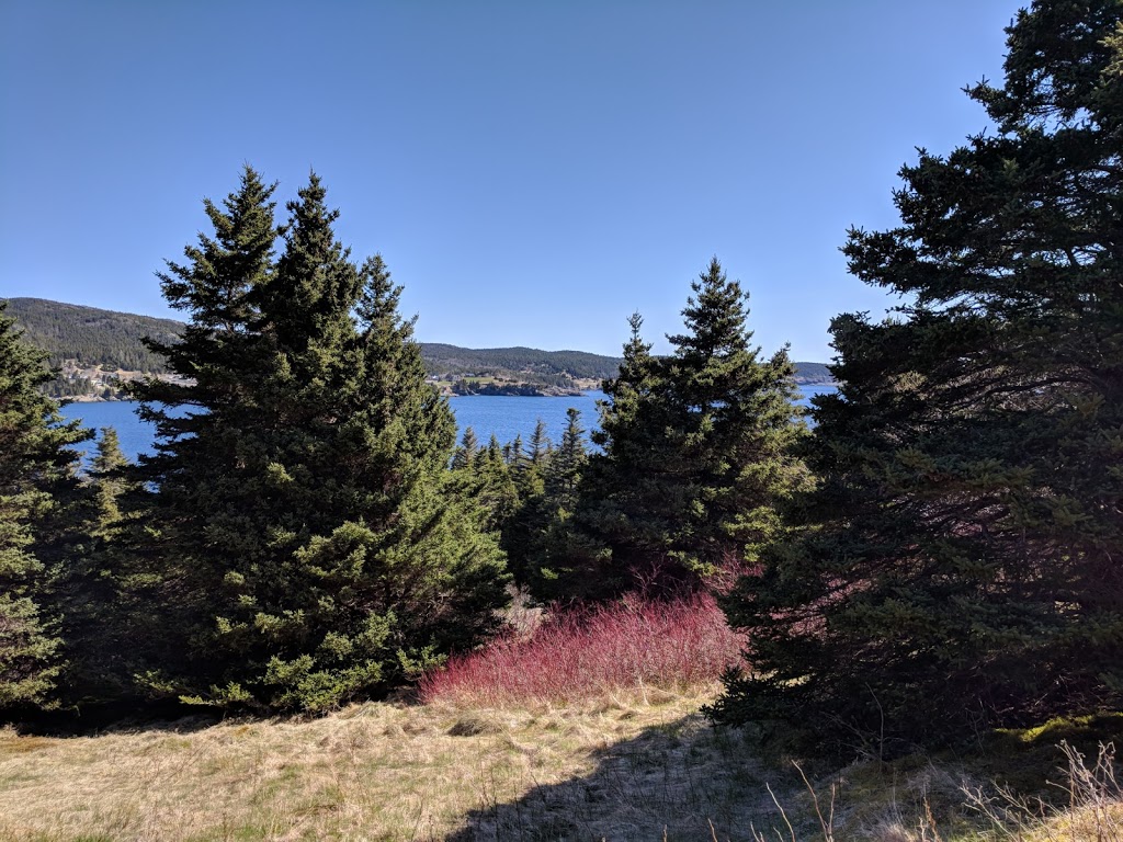 Mickeleens Path | Bears Cove Rd, Goulds, NL A1S 1R3, Canada