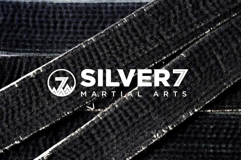 Silver 7 Martial Arts & Fitness - Barrhaven | 3500 Fallowfield Rd #14, Nepean, ON K2J 4A7, Canada | Phone: (613) 843-7878