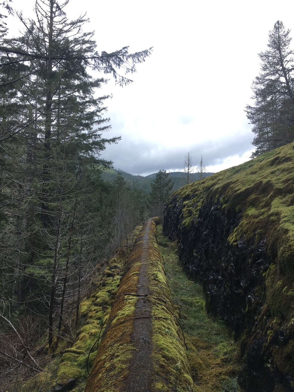 Sooke Flow Pipe Trail | Sooke River Rd, Sooke, BC V9C 4C1, Canada