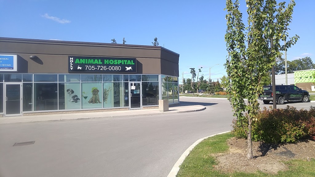 Holly Animal Hospital | 494 Veterans Dr #21, Barrie, ON L4N 9J5, Canada | Phone: (705) 726-0080