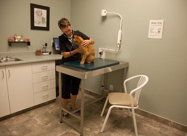 Chicopee Hills Animal Hospital | 1601 River Rd E #28, Kitchener, ON N2A 3Y4, Canada | Phone: (519) 748-6638