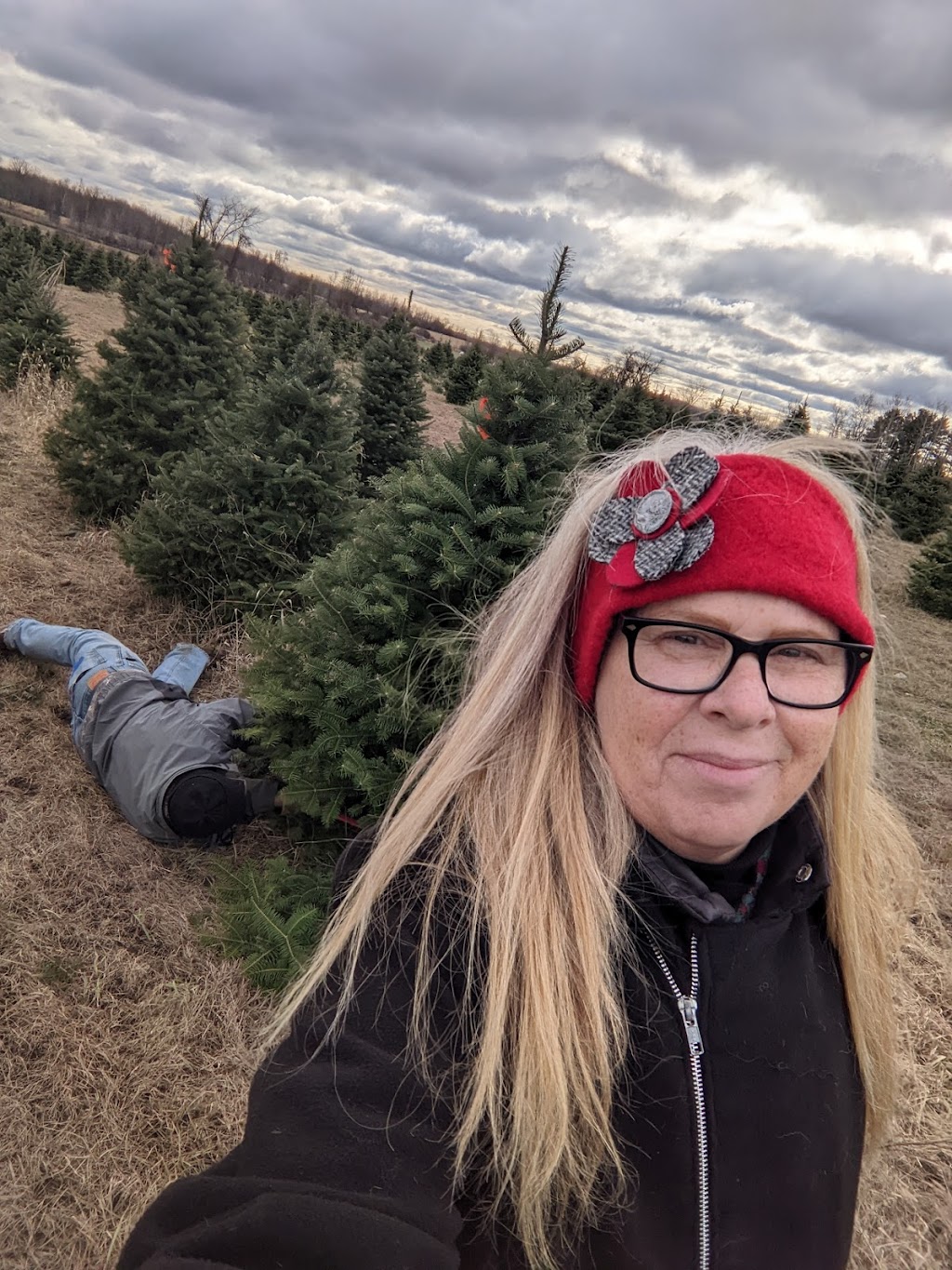 Hendrys Christmas Tree Farm | 11935 ON-15, Smiths Falls, ON K7A 4S7, Canada | Phone: (613) 283-6284