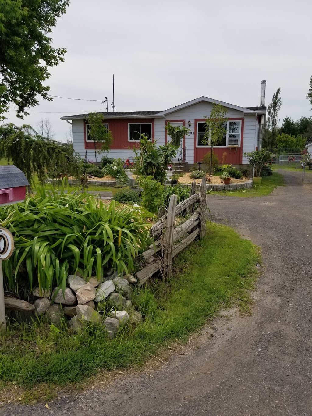 Pension Canines Du Bassetarium | 2400 Chemin de la Grande Ligne, Carignan, QC J3L 0K9, Canada | Phone: (450) 572-0420