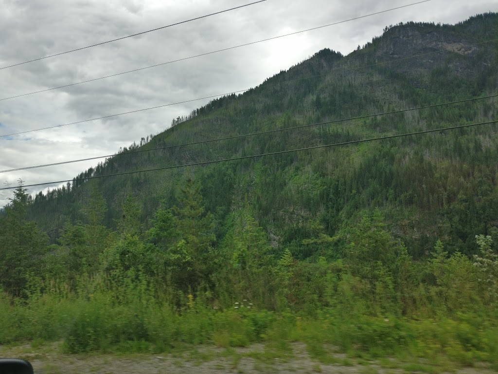 Columbia River Shake & Shingle Ltd | Trans-Canada Hwy, Revelstoke, BC V0E 2S0, Canada | Phone: (250) 837-6544