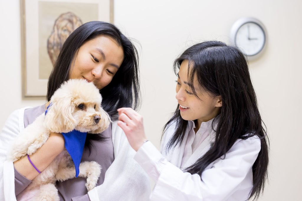 Milliken Bridlewood Vet Clinic | 宠物医院 | 2770 Kennedy Rd, Scarborough, ON M1T 3J2, Canada | Phone: (416) 292-7804