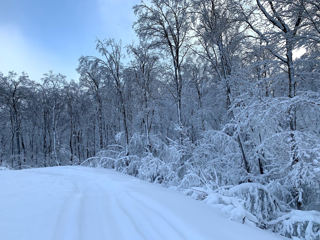 Osler Bluff Ski Club Ltd | 795534 The Blue Mountains Clearview Townline, The Blue Mountains, ON L9Y 0R7, Canada | Phone: (705) 445-4507