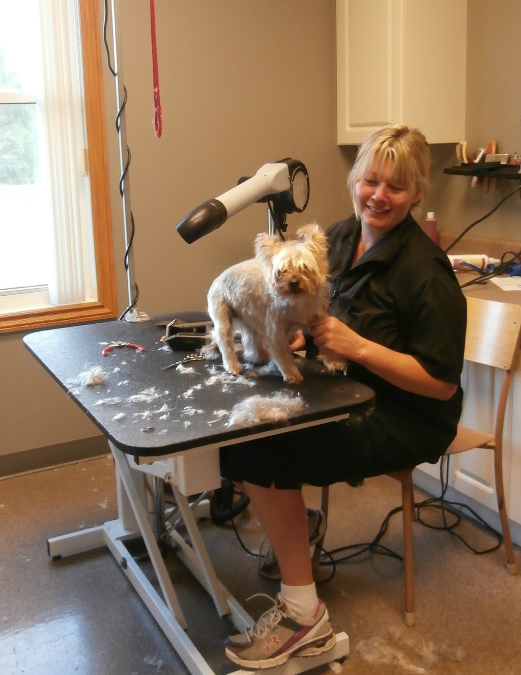 Mitchell Veterinary Services | 243 Ontario Rd, Mitchell, ON N0K 1N0, Canada | Phone: (519) 348-9711