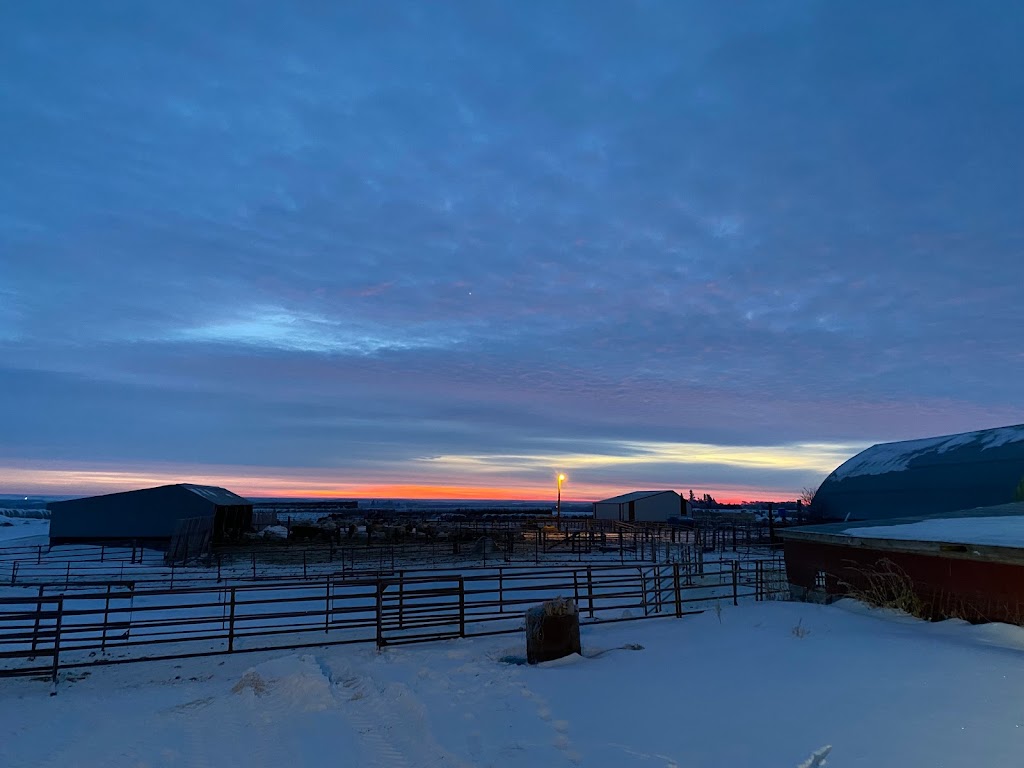 C2 Charolais | Box 237, La Rivière, MB R0G 1A0, Canada | Phone: (204) 242-4448