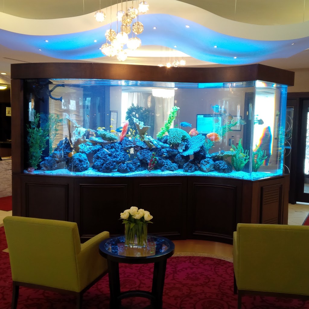 LT Aquariums | 850 Tapscott Rd Unit #8, Scarborough, ON M1X 1N4, Canada | Phone: (647) 829-8245