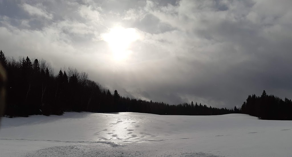 Ferme De Stéphane Et Nicole | 241 Rang Sud-Est, La Bostonnais, QC G9X 0A7, Canada | Phone: (819) 523-9593