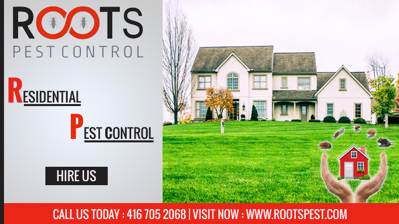 Roots Pest Control | postal code, 475 Bramalea Rd Unit #183, Brampton, ON L6T 2X3, Canada | Phone: (416) 705-2068