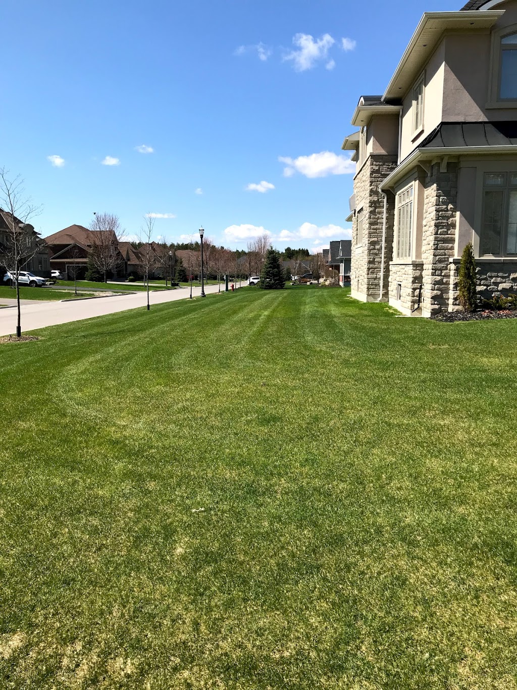 Father Mows Best Grass Cutting | 36 Wheler Ct, Uxbridge, ON L9P 1T8, Canada | Phone: (905) 852-6387