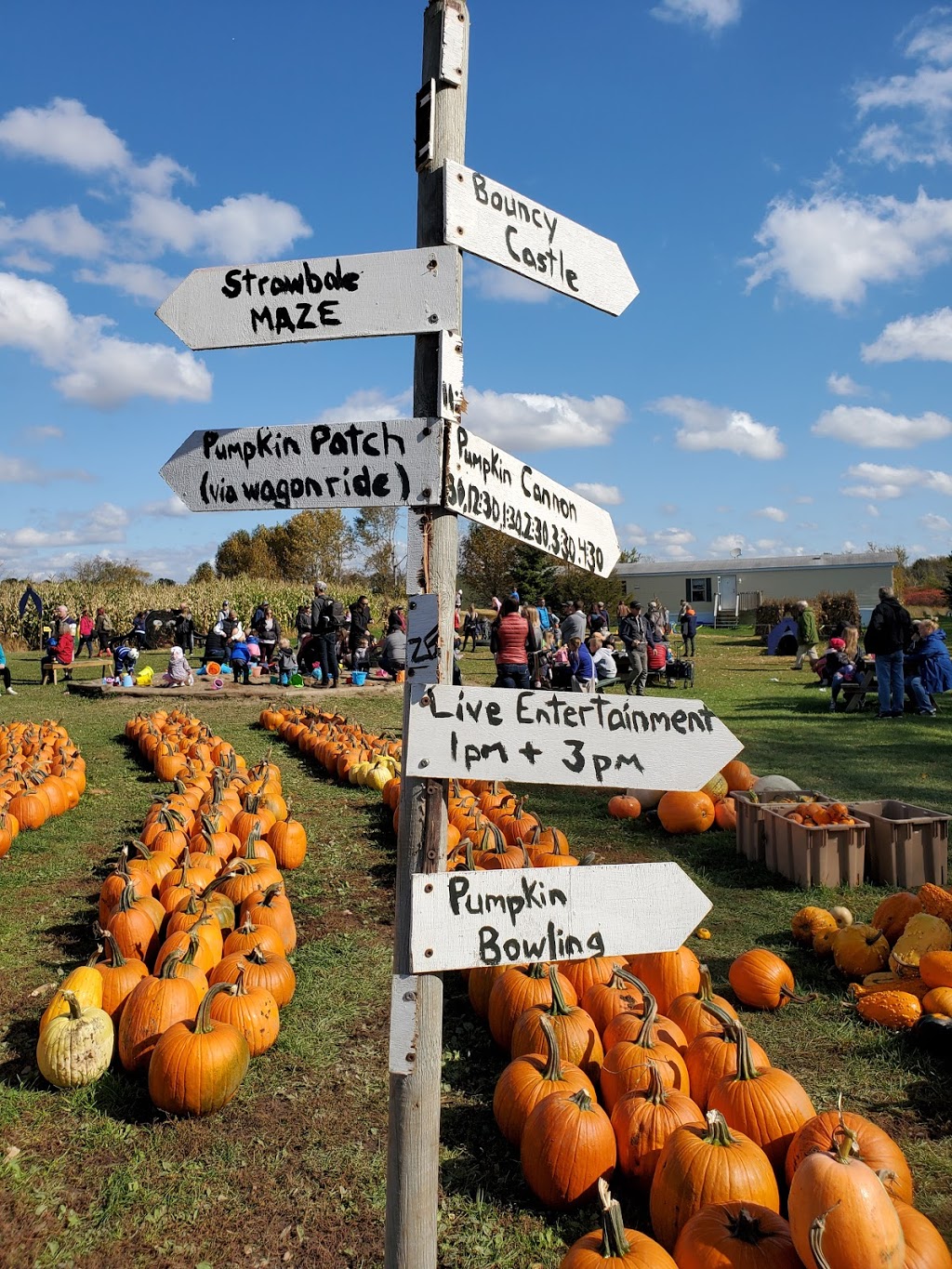 Buckhorn Berry Farm | 3055 Berrie Rd, Lakefield, ON K0L 2H0, Canada | Phone: (705) 657-8888