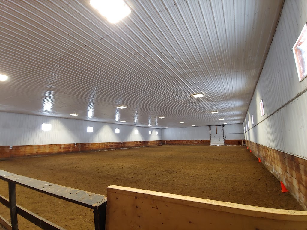 Maplewood Farms by EquineFirst | 950 Ponemah Rd, Winnipeg Beach, MB R0C 3G0, Canada | Phone: (204) 223-3074