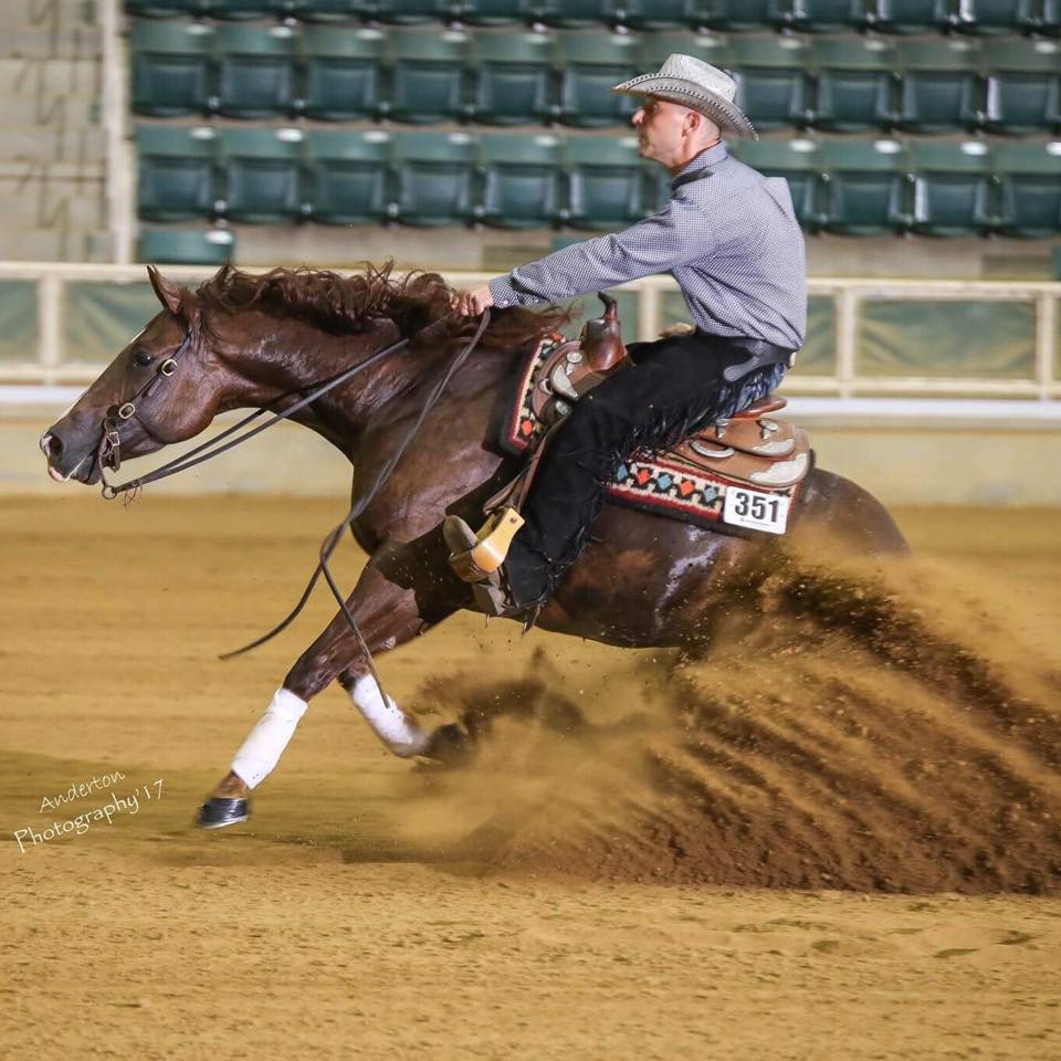 Heule Reining Horses Canada | 1660 Lance Rd, Pritchard, BC V0E 2P0, Canada | Phone: (919) 631-1058