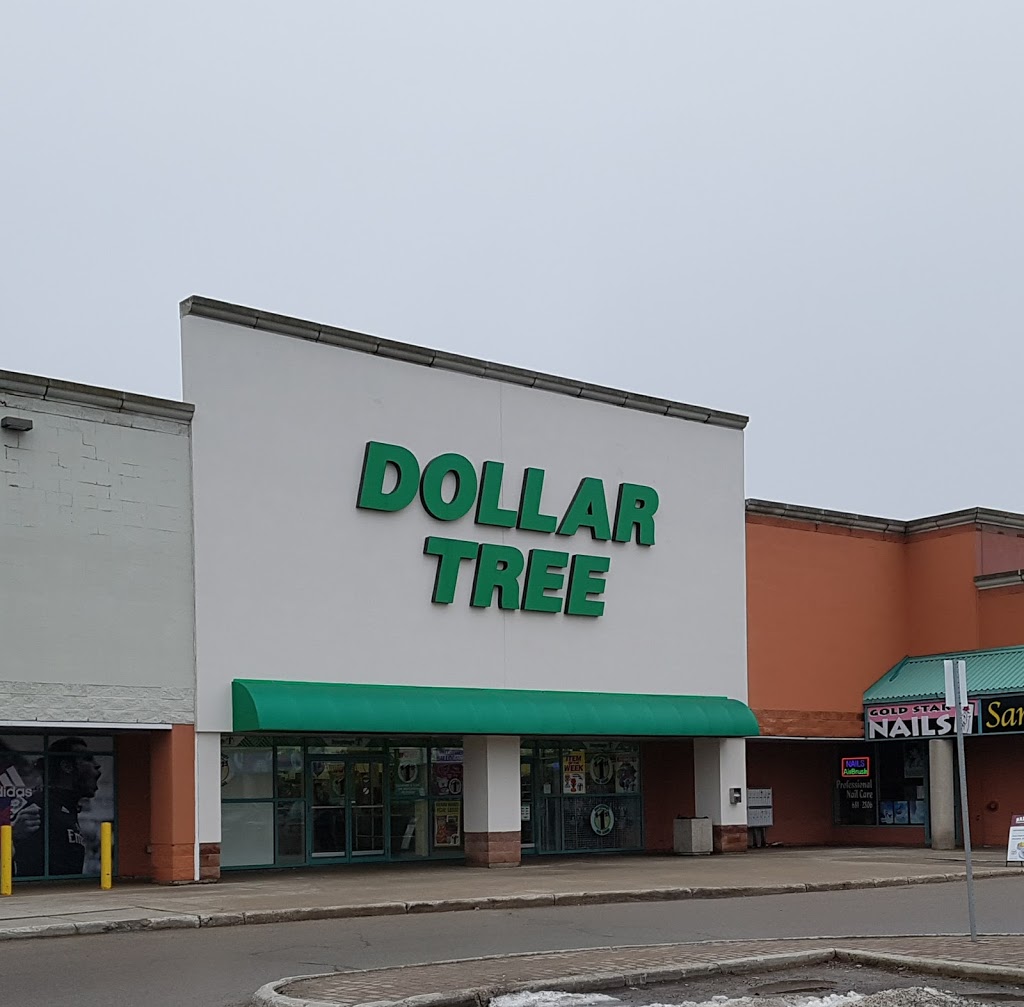 Dollar Tree | 1070 Wellington Rd #15, London, ON N6E 3V8, Canada | Phone: (519) 668-0240