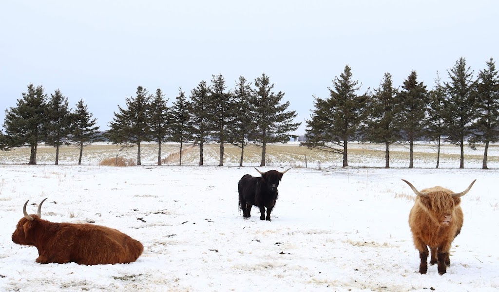 Ferme Genty senc | 1495 Chem. des Bouvreuils, Bécancour, QC G9H 4C9, Canada | Phone: (819) 698-1107