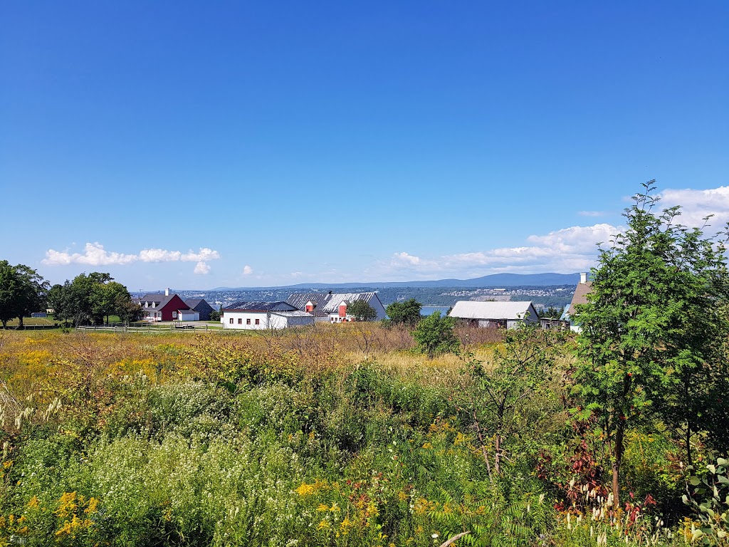 Accueil Touristique De LÎle DOrléans | 490 Côte du Pont, Saint-Pierre, QC G0A 4E0, Canada | Phone: (418) 828-9411