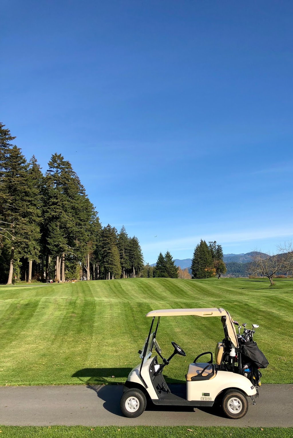 Sandpiper Golf Course | 14282 Morris Valley Rd, Harrison Mills, BC V0M 1L0, Canada | Phone: (604) 796-1000