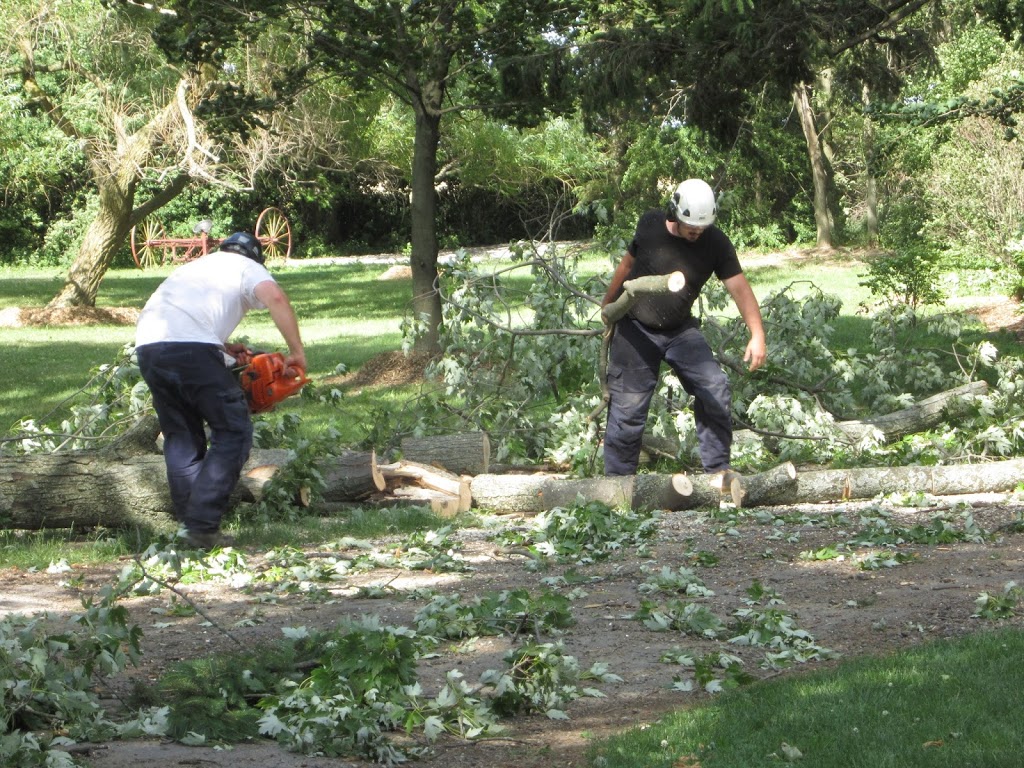 Joels Tree Service | 5009 Line 6, St. Marys, ON N4X 1C8, Canada | Phone: (519) 272-5742