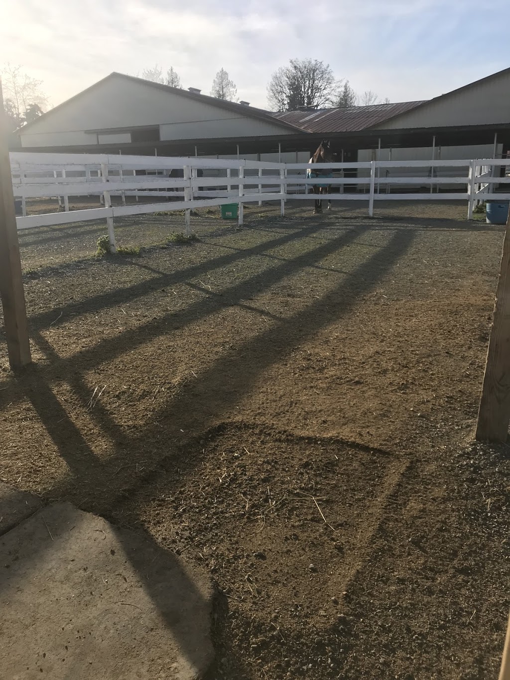 Westcott Equestrian | 1484 216 St, Langley Twp, BC V2Z 1R2, Canada | Phone: (778) 999-3266