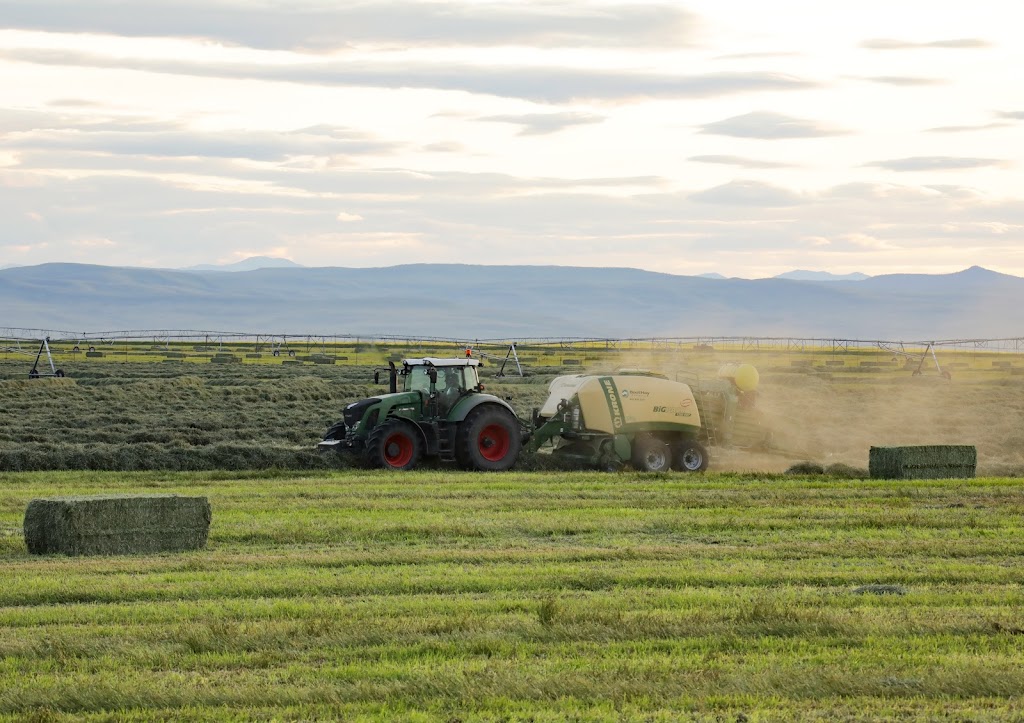 Boot Hay Farms Ltd | 85034 RR245, Monarch, AB T0L 1M0, Canada | Phone: (403) 330-3027