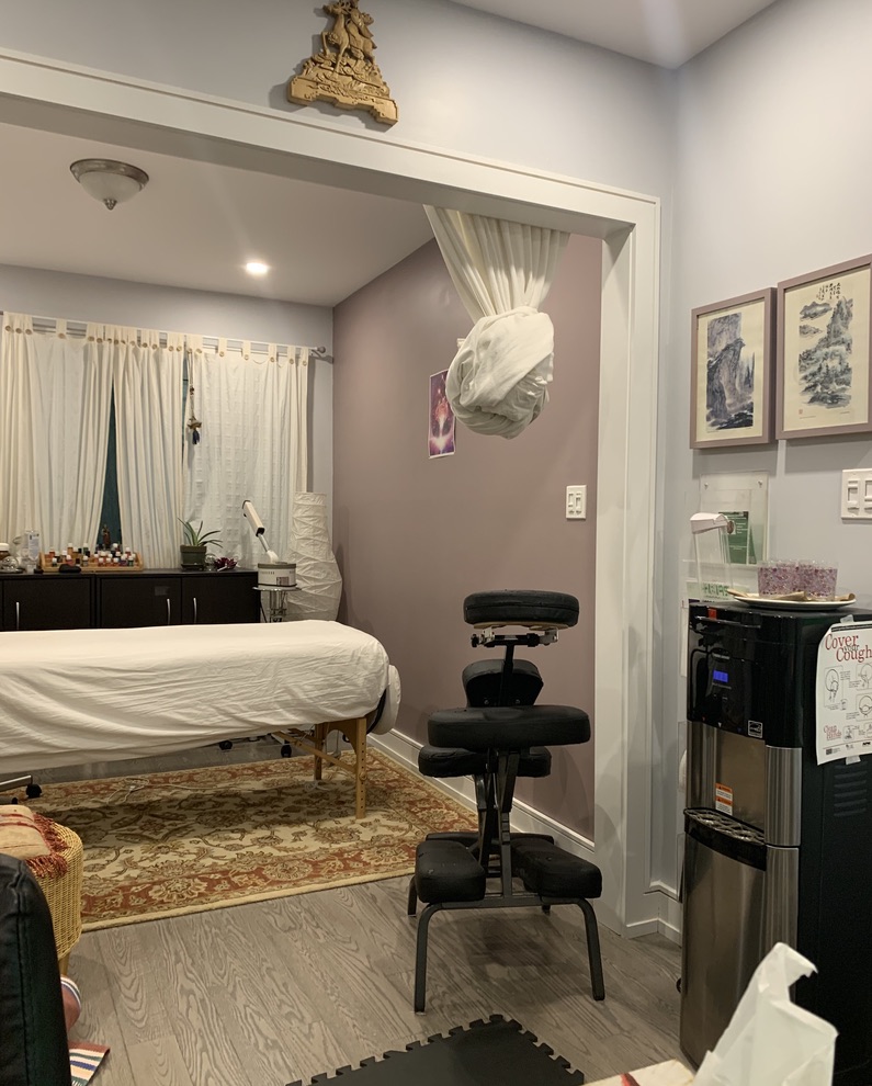 Lotus Arts and Wellness Clinic | 7 Greenbrook Dr, York, ON M6M 2J8, Canada | Phone: (416) 986-9270