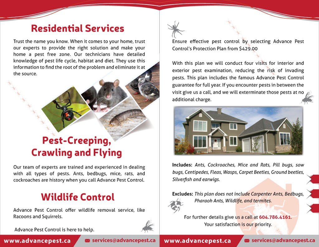 Pest Control Mission | 33764 Bowie Dr, Mission, BC V2V 7S3, Canada | Phone: (604) 786-4161