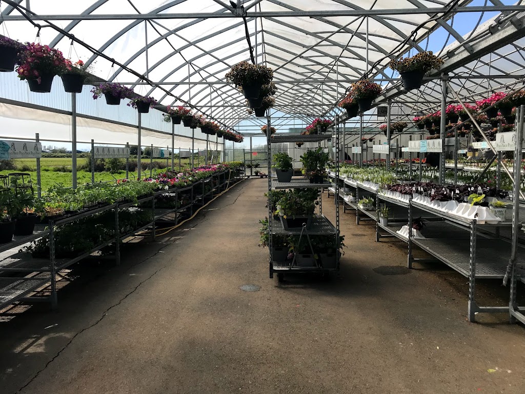 Peace Arch Nurseries | 4233 King George Blvd, Surrey, BC V3S 0L2, Canada | Phone: (604) 319-2684