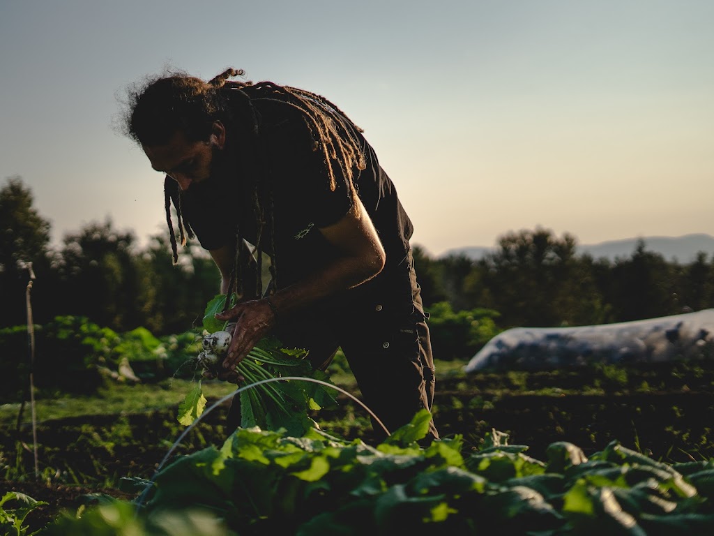 Les Jardins de la Minga | 91 Chemin Ste Croix, Baie-Saint-Paul, QC G3Z 1A4, Canada | Phone: (418) 435-5262