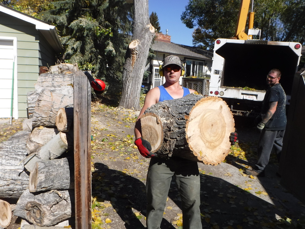 A1 Tree Service | 254035 Range Rd 284, Rocky View County, AB T1Z 0L2, Canada | Phone: (403) 992-6205