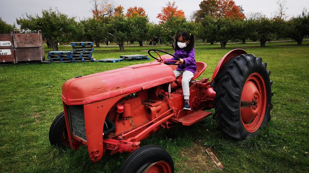 Albion Orchards & Country Market | 14800 Innis Lake Rd, Caledon East, ON L7C 2Y8, Canada | Phone: (905) 584-0354