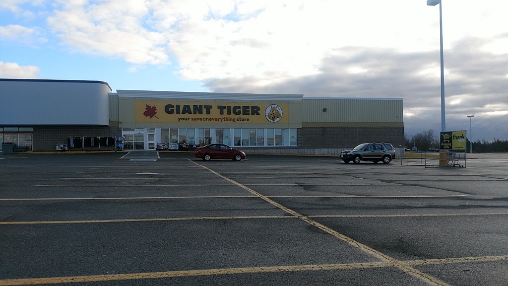 Giant Tiger | 142 S Albion St, Amherst, NS B4H 2X2, Canada | Phone: (902) 667-7116