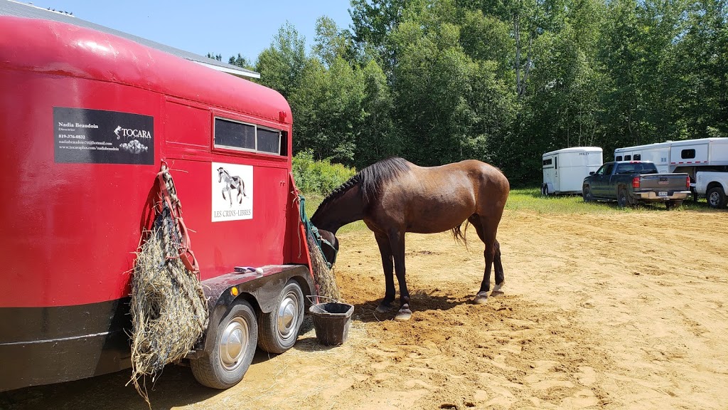 La Cadence école équitation | 1910 Rang Saint Félix E, Notre-Dame-du-Mont-Carmel, QC G0X 3J0, Canada | Phone: (819) 609-1131