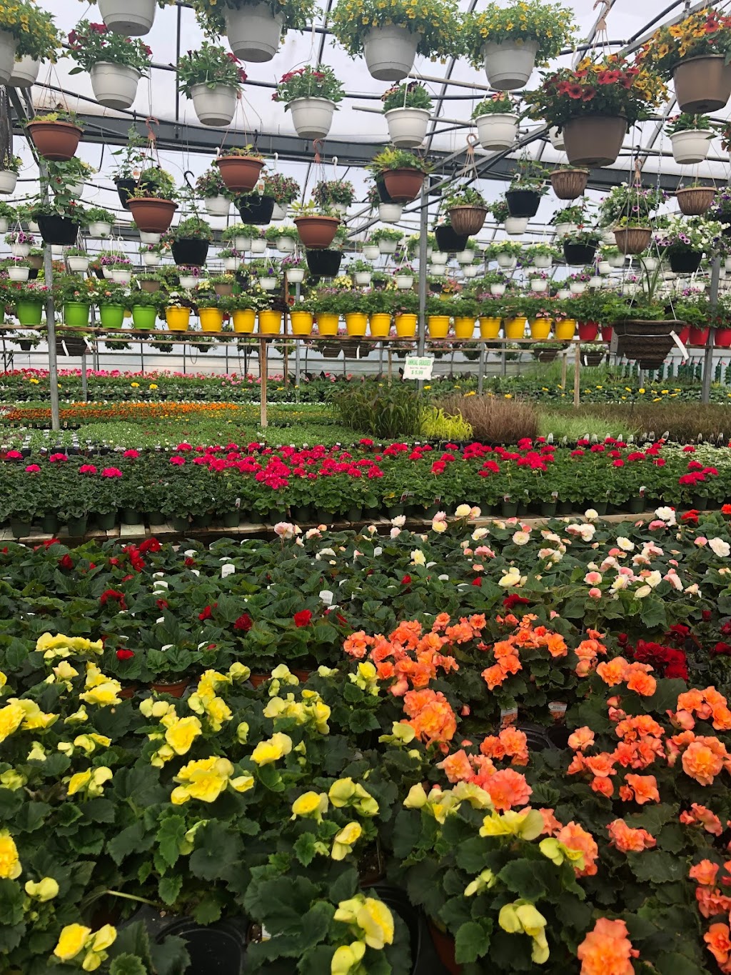 Westside Nurseries & Greenhouses Ltd. | 353 ON-21 #202, Owen Sound, ON N4K 5N7, Canada | Phone: (519) 376-6521