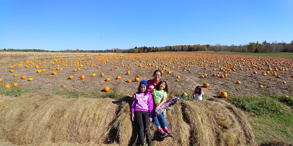 Coopers CSA Farm & Maze | 266 Ashworth Rd, Zephyr, ON L0E 1T0, Canada | Phone: (905) 830-4521