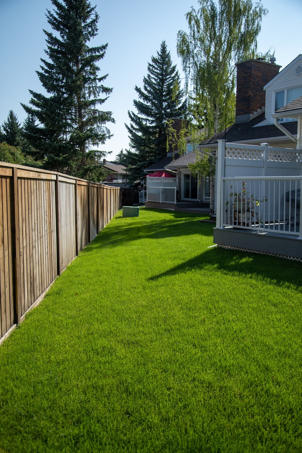 Ocean Tree Care Corp. | 129 Oaktree Ln SW, Calgary, AB T2V 4E3, Canada | Phone: (403) 992-7549