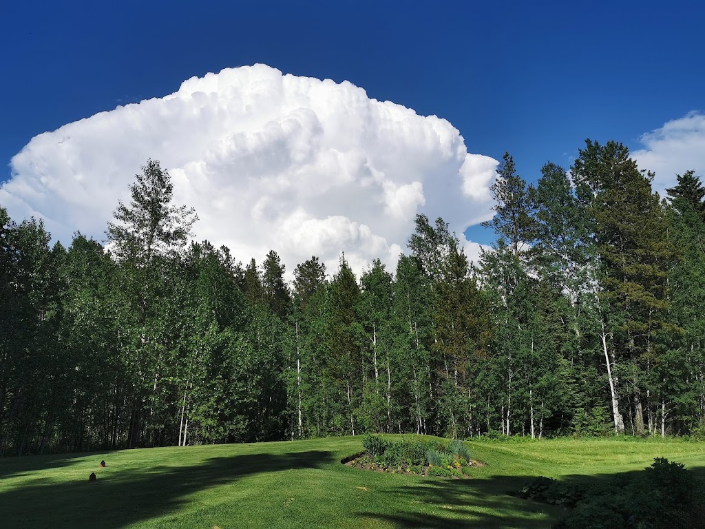 Pine Hills Golf Club | 75074, Township Road 39 #5, Rocky Mountain House, AB T4T 1B4, Canada | Phone: (403) 845-7400