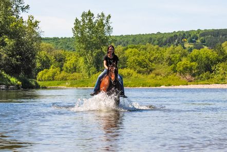 Crazy Horse Ranch | 318 QC-161, Saint-Christophe-dArthabaska, QC G6R 0M9, Canada | Phone: (819) 350-9296