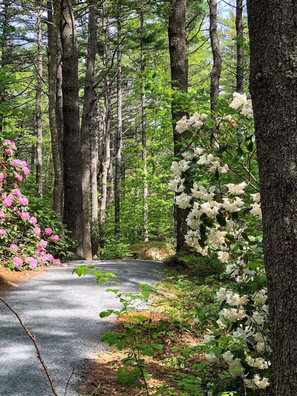 Outdoor Nova Scotia | Shore View Dr, Brooklyn, NS B0J 1H0, Canada | Phone: (902) 354-8582