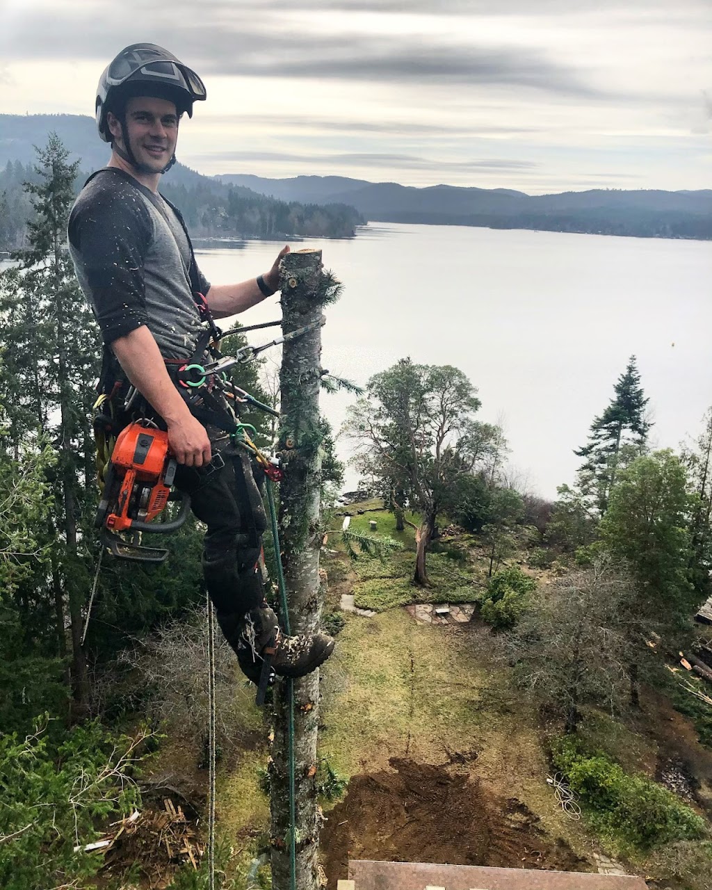 Cullen Tree Service | 6252 Oldfield Rd, Saanichton, BC V8M 1X7, Canada | Phone: (250) 644-3494