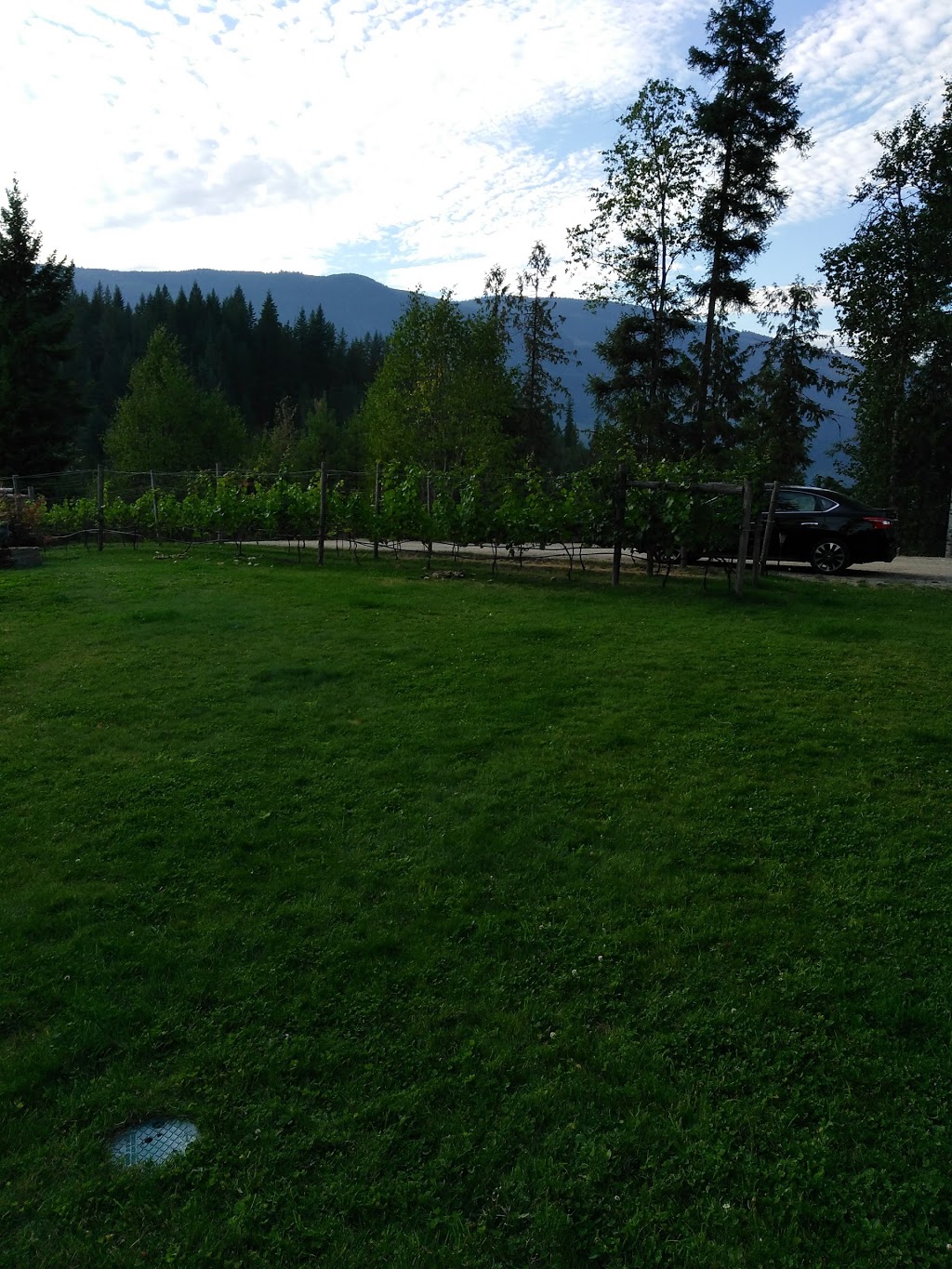 Owlhead Creek Bed and Breakfast | 1996 Blatchford Rd, Sicamous, BC V0E 2V1, Canada | Phone: (250) 836-2226