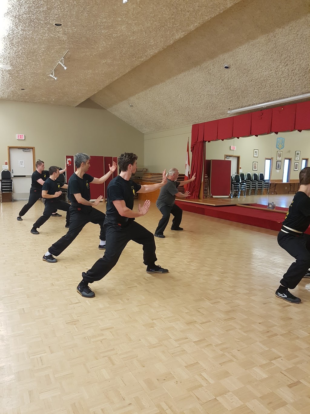 Tiger Claw Kung Fu and Tai Chi | 1091 Coronation Ave, Kelowna, BC V1Y 7A8, Canada | Phone: (250) 317-7260