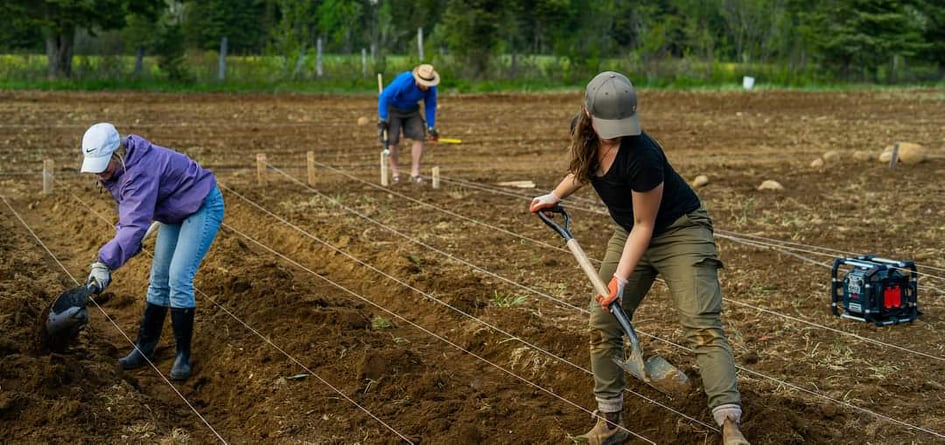 Les Jardins de la Minga | 91 Chemin Ste Croix, Baie-Saint-Paul, QC G3Z 1A4, Canada | Phone: (418) 435-5262