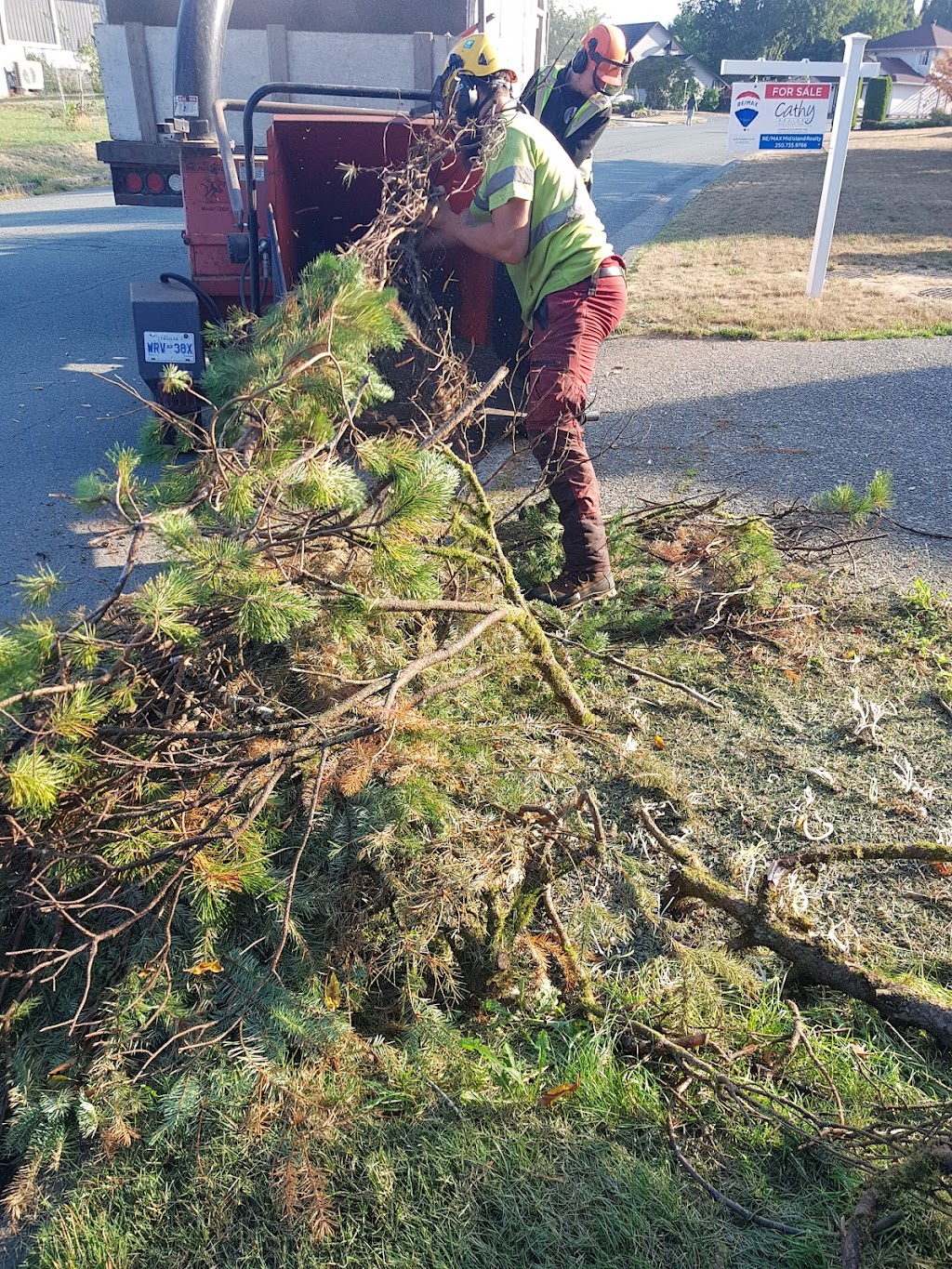 Totem Tree Services | 5189 Compton Rd, Port Alberni, BC V9Y 7B5, Canada | Phone: (250) 730-7770