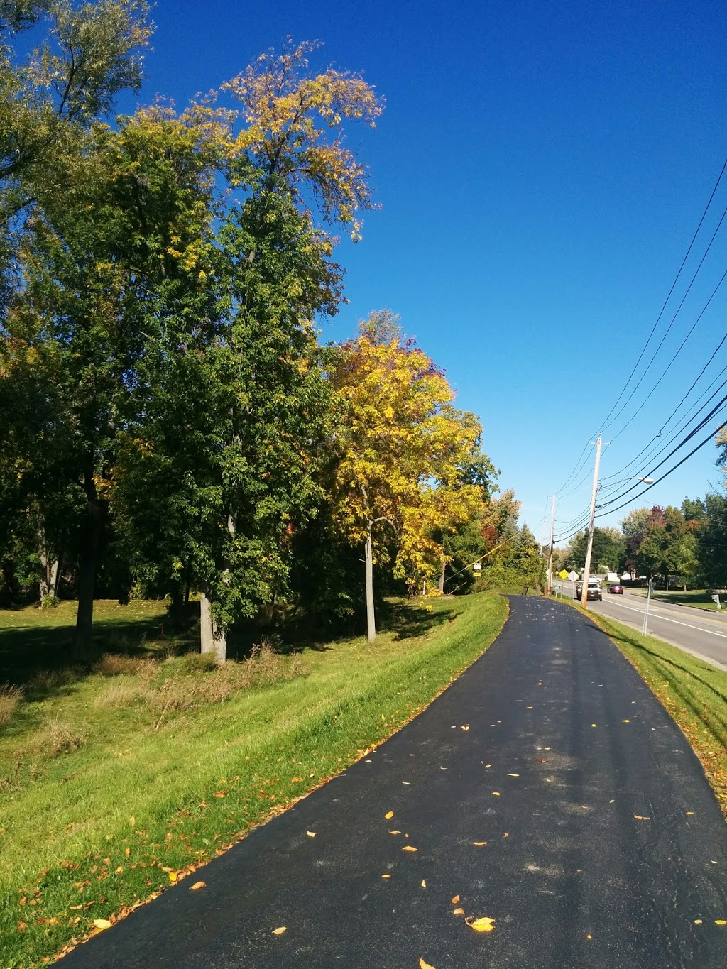 Ellicott Creek Trail way Park | 1398 N Forest Rd #1384, Buffalo, NY 14221, USA