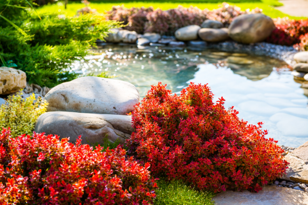 Pine Valley Tree Services and Landscaping | 1862 Ironwood Dr, Kamloops, BC V2H 0A6, Canada | Phone: (250) 319-5586